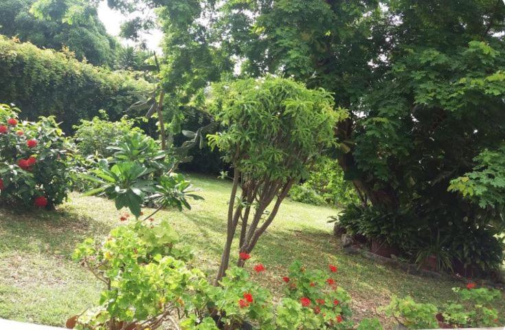 Comfy Home-Tropical Garden & 5 Min Walk To Beach Tamarin Eksteriør billede